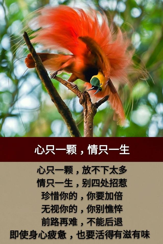 人生|坎坎|霓虹_新浪新闻