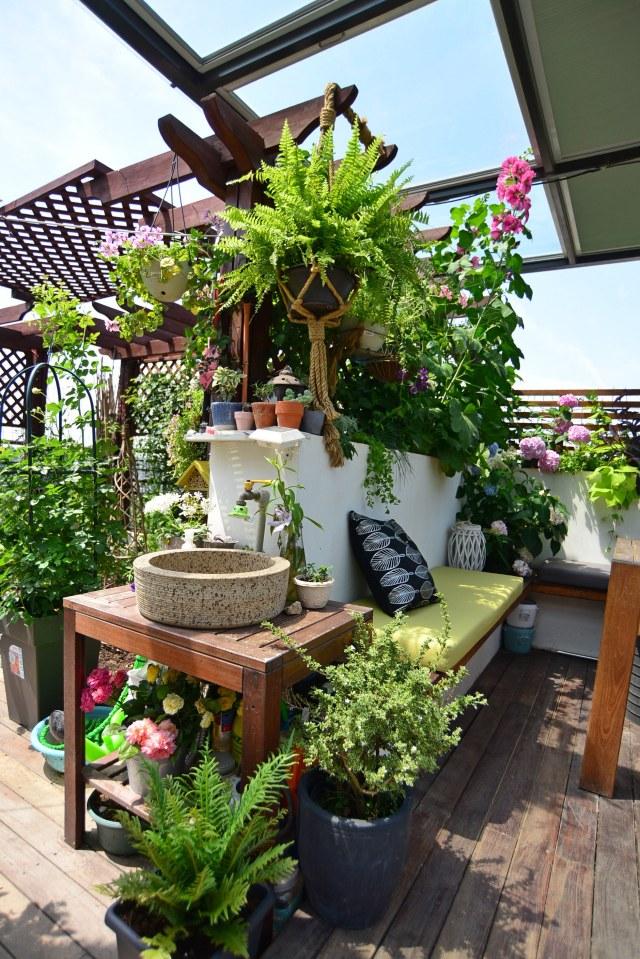 露台花园案例鉴赏