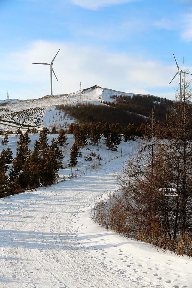 冬天的草原天路不输秋色