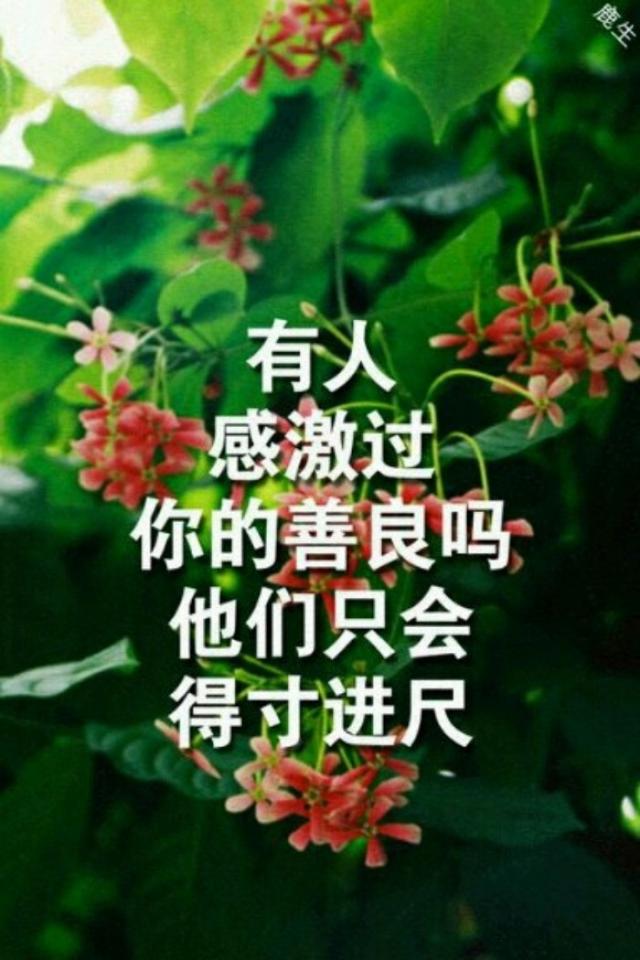 你的善良我都看得见