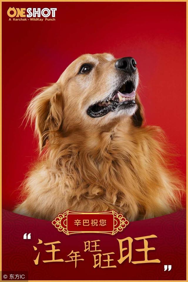 19708294年属狗人天塌了再忙也要点开不然吃不香睡不好