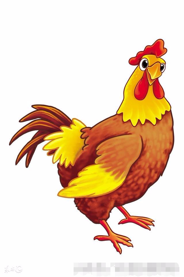 2018年1月1号,生肖鸡你将有"一喜一灾",快打开看看,越快越好