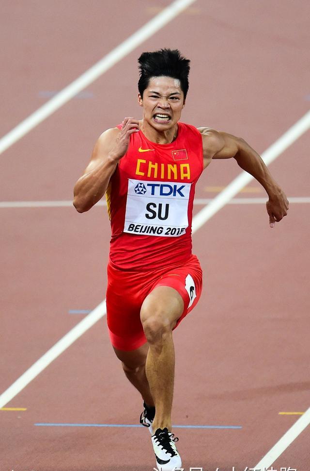 大本钟奖发布朱婷获十大运动员,郎平获终身成就奖(获奖名单)