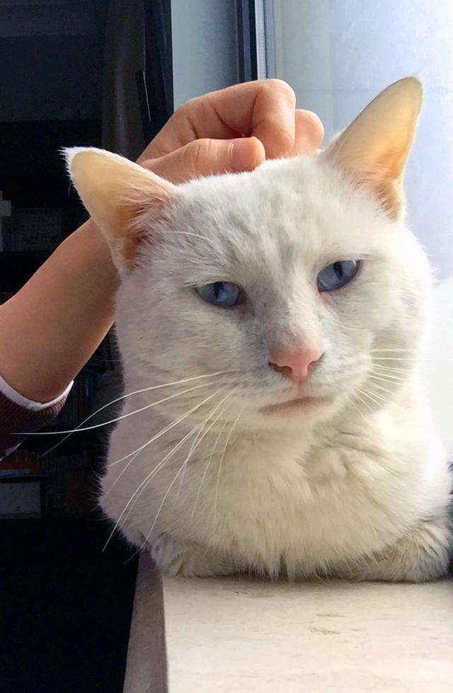 眼一闭一睁,蛋蛋没了(下)