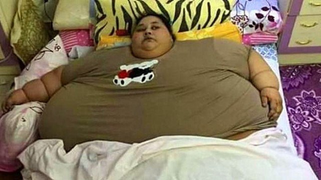 世界上最胖2000斤图片