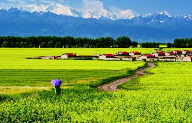中国最美的风景长廊,花海和草原,美丽的人间天堂