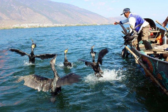 云南跟泰国比谁更发达, 云南人均GDP少于泰国