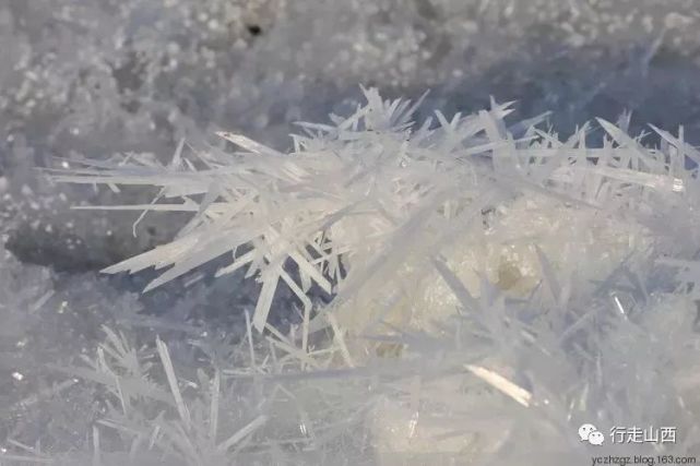 最山西│不蔓不枝, 玉骨冰清, 天下盐花唯运城