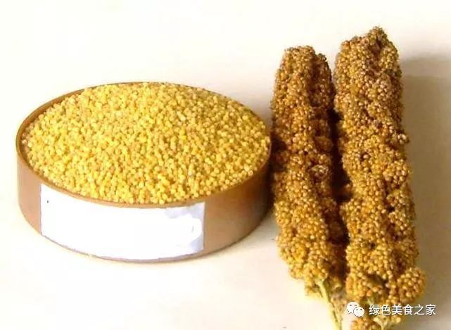 美食:什么是“稷”什么是“粟”什么是“粱”