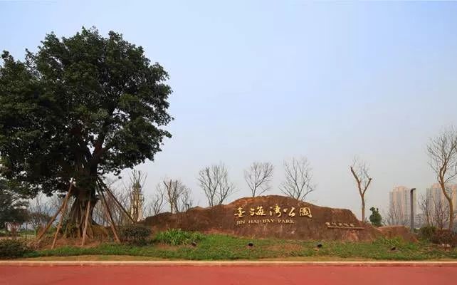 花香溪谷区,灯塔草坡活动区,石滩花径散步区,古木银杏广场,活力森林