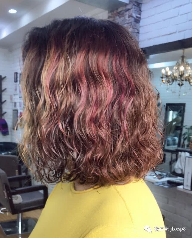 狗年流行"泰迪卷