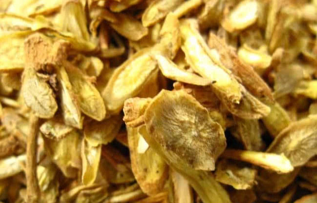 中药黄芩黄芩这种药很苦功效多得惊人黄芩能治疗哪些疾病