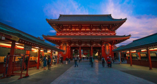 下一个樱花季请让我遇见你|樱花|东京|东京都_新浪新闻