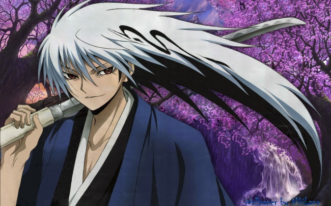 阴阳师:7号更新内容,为崽挨打活动开启,陆生二期及新联动登场