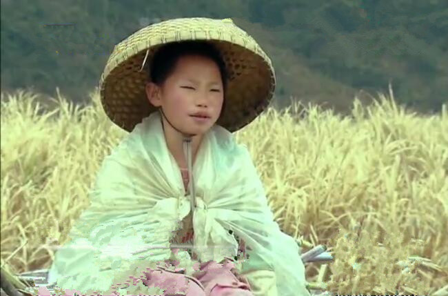 和鸡同住一屋,三个人挤一张摇摇欲坠的烂床|新桂|小女孩|甘蔗_新浪
