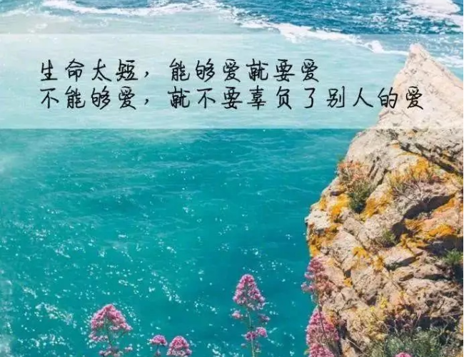 精致到噎死人的经典语录字字千金句句深刻每一句都触碰心灵