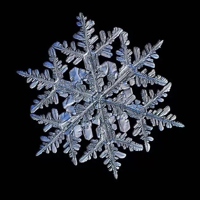 他用一台傻瓜相机拍了9年雪花,随后发出来的照片惊艳朋友圈!