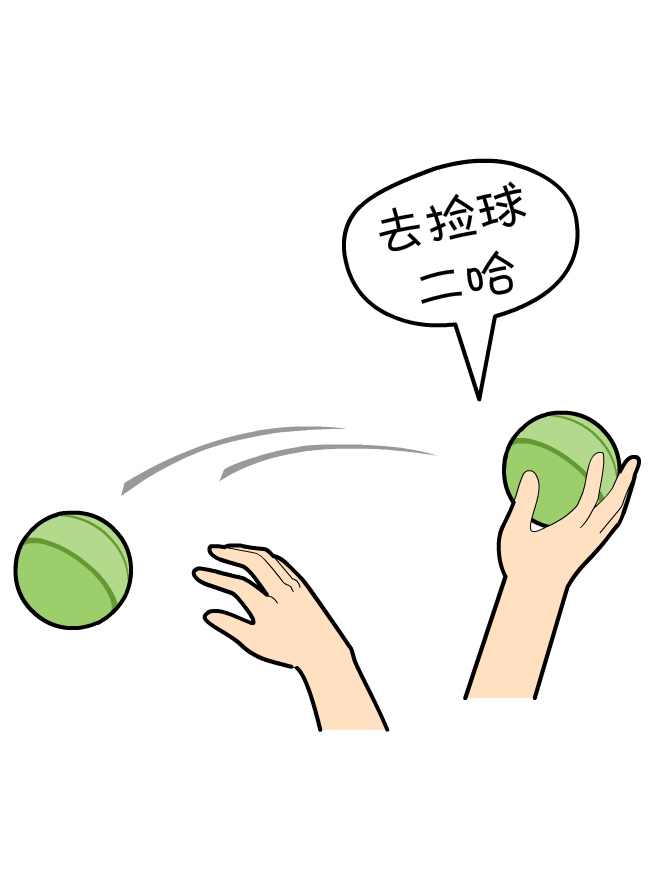 猫狗漫画:我擦!捡个球都能这么帅!