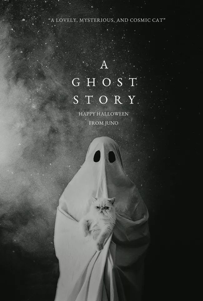 《鬼魅浮生》a ghost story (2017)