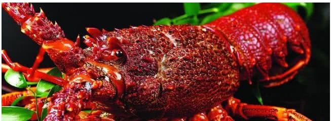 全球十大最顶级最贵的海鲜,只有一种来自中国