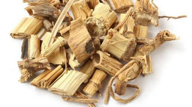 芦根用于热病烦渴,胃热呕吐,肺热咳嗽