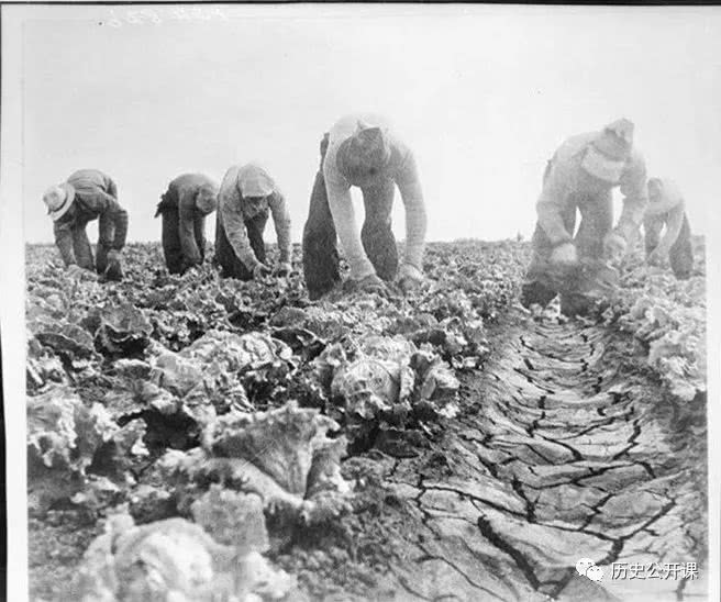 每每谈到二战,可以进来看看这篇文章