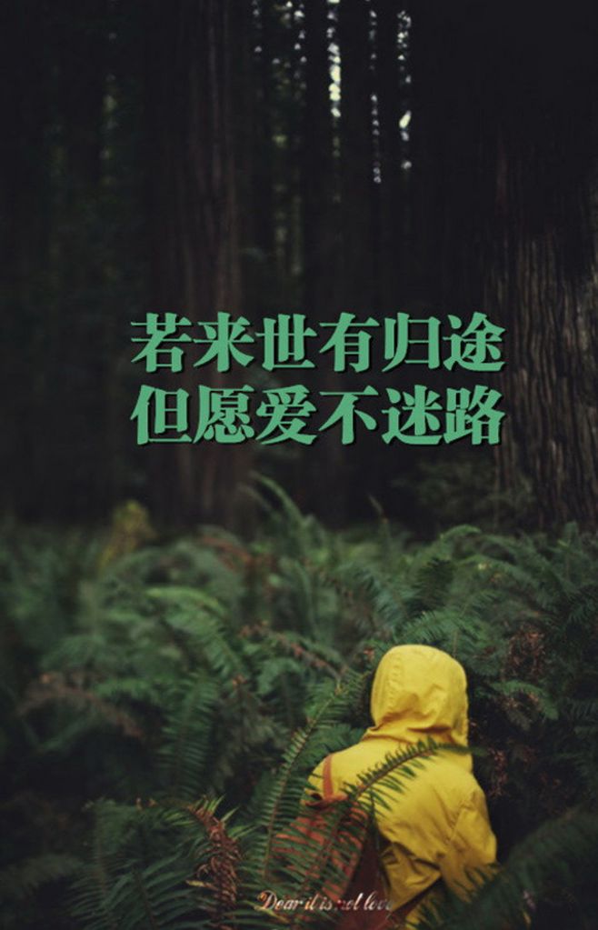 打动你的爱情密语,情话说不停