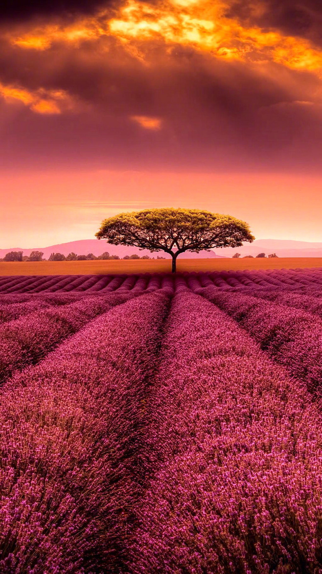 成熟的重要标志,不是学会了"表达",而是学会了"咽下"