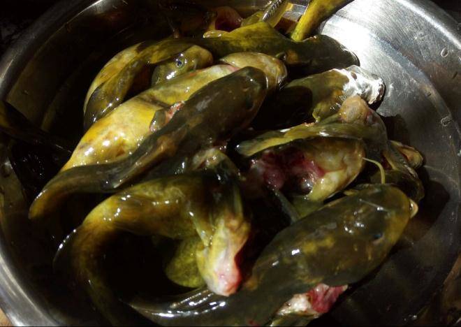 好吃的麻辣水煮黄辣丁的做法