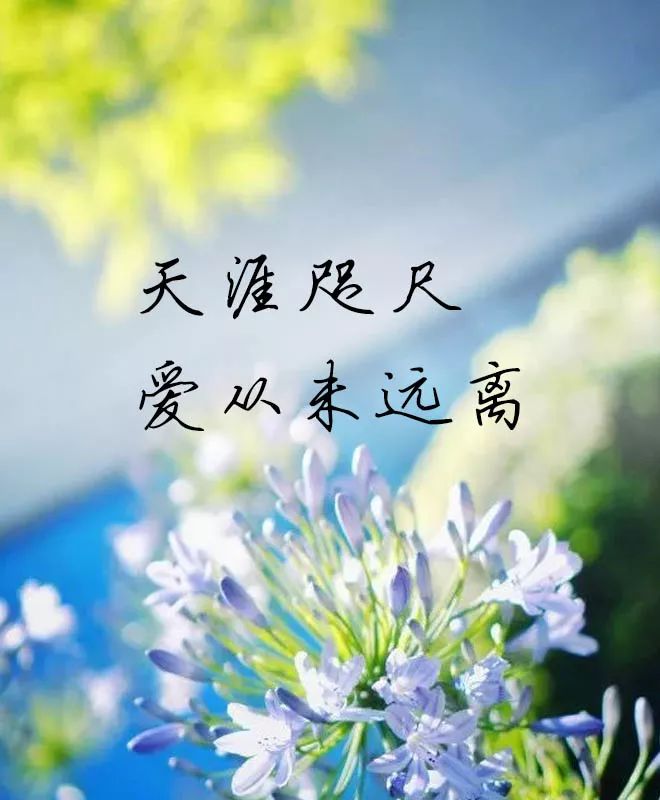 天涯咫尺,爱从未远离