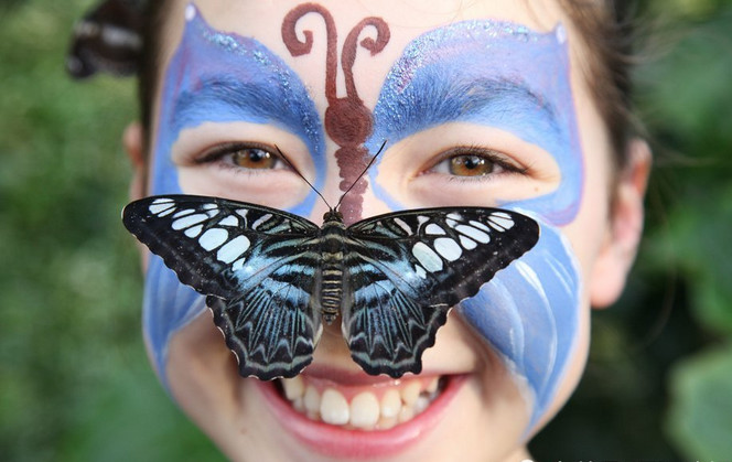 英国举办蝴蝶展,美女模特吸引大量蝴蝶环绕,好似"香妃"
