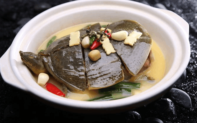 清蒸甲鱼怎么做? 学习这3种做法!