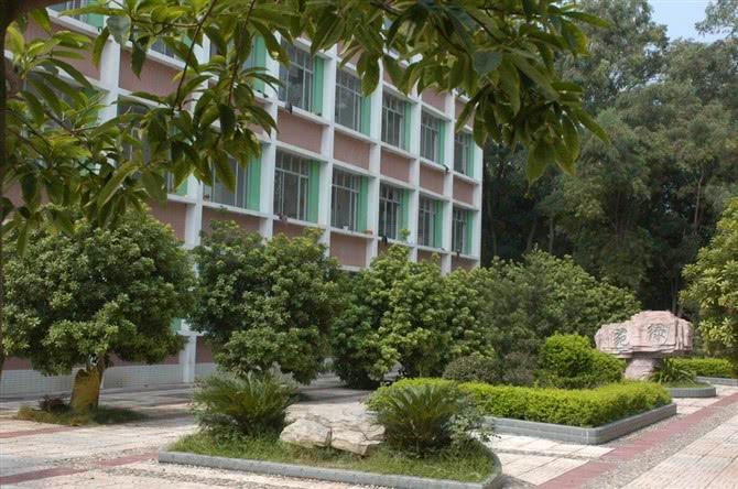 校园的回忆-林校