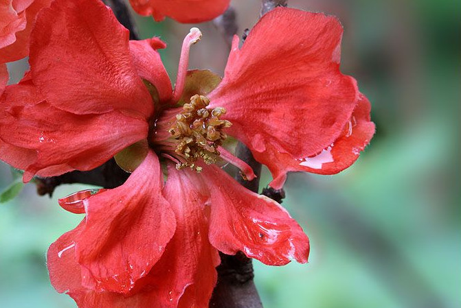 职场快速上位的7字诀,学会领导想着法重用你