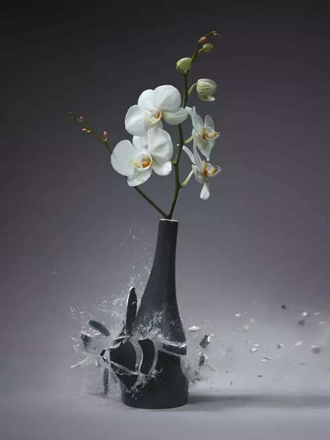 德国摄影师 martin klimas 拍攝的一组花瓶破碎瞬间的作品,作品极具