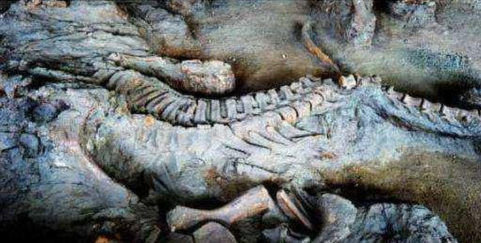 两兄弟寻宝,挖到千年古墓,细看古墓可能是龙脉,最后屁滚尿流