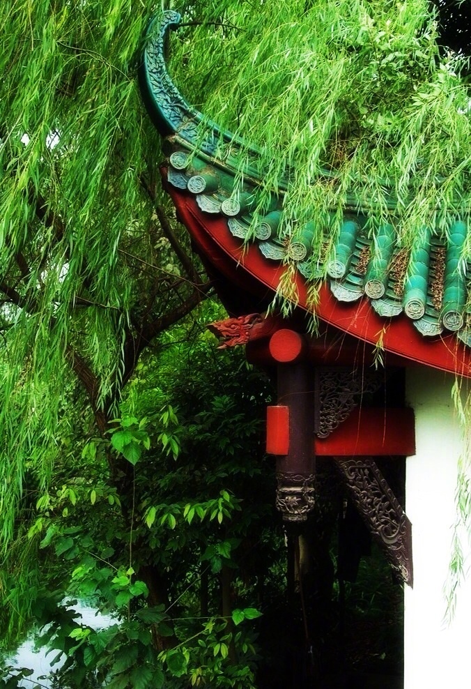 楼外垂杨千万缕欲系青春少住春还去