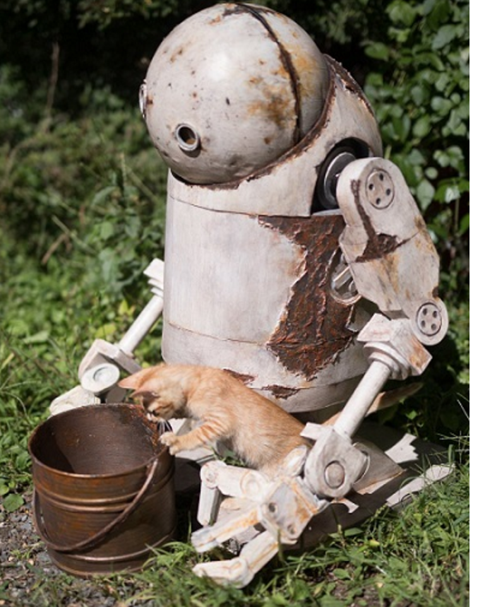 可是万万没有想到,建给这些小动物们来玩耍的地方,却变成了这个小猫