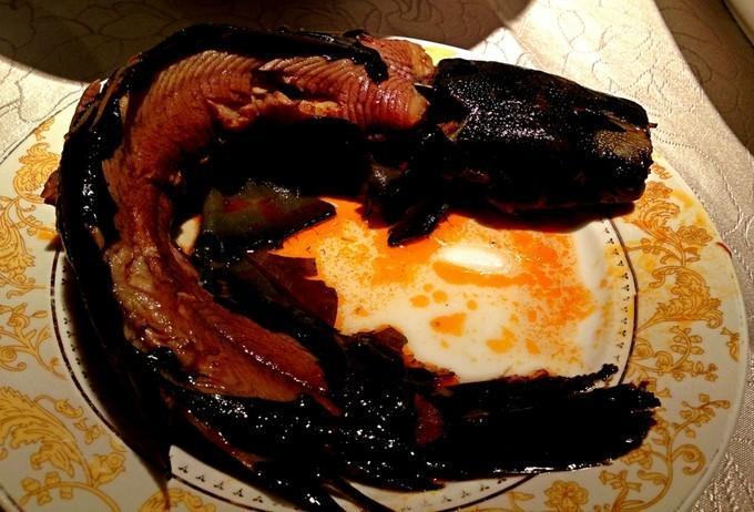 此鱼"出水烂",捕期短,但却是人间美味!