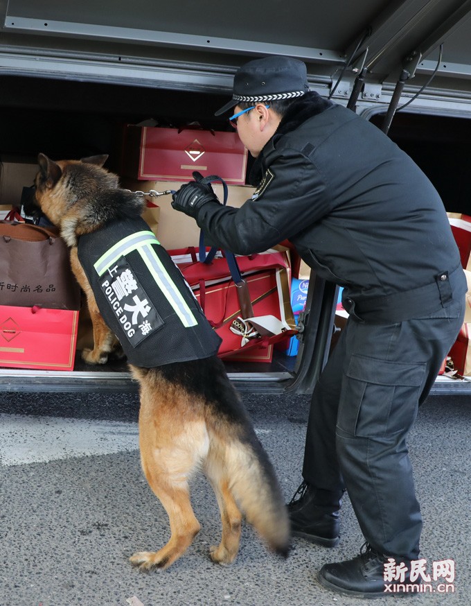 工作犬:今天我上班!