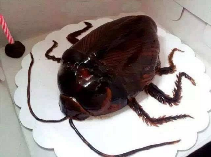 各种奇葩的蛋糕面对这些蛋糕不会有任何人能够吃下去