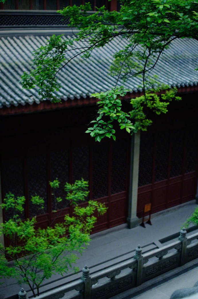 禅境,最讲一个"淡"字|慧心|善心|木鱼_新浪新闻