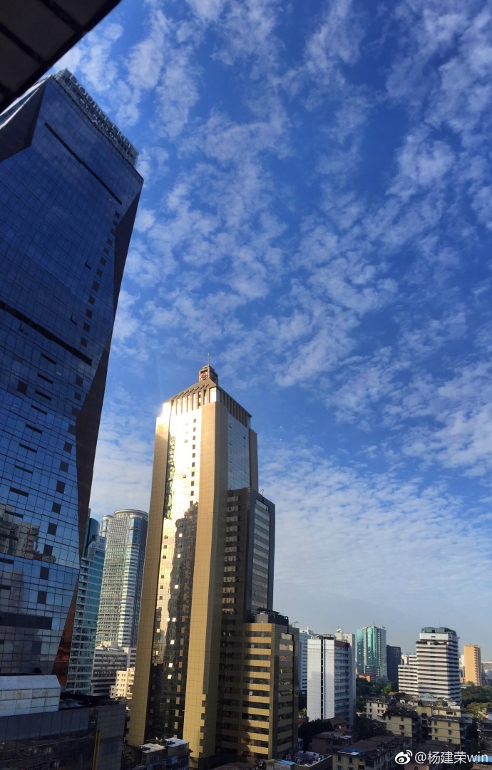 羊城天晴 · 你见到的我是金色的!|羊城|广州|旅行_新浪新闻