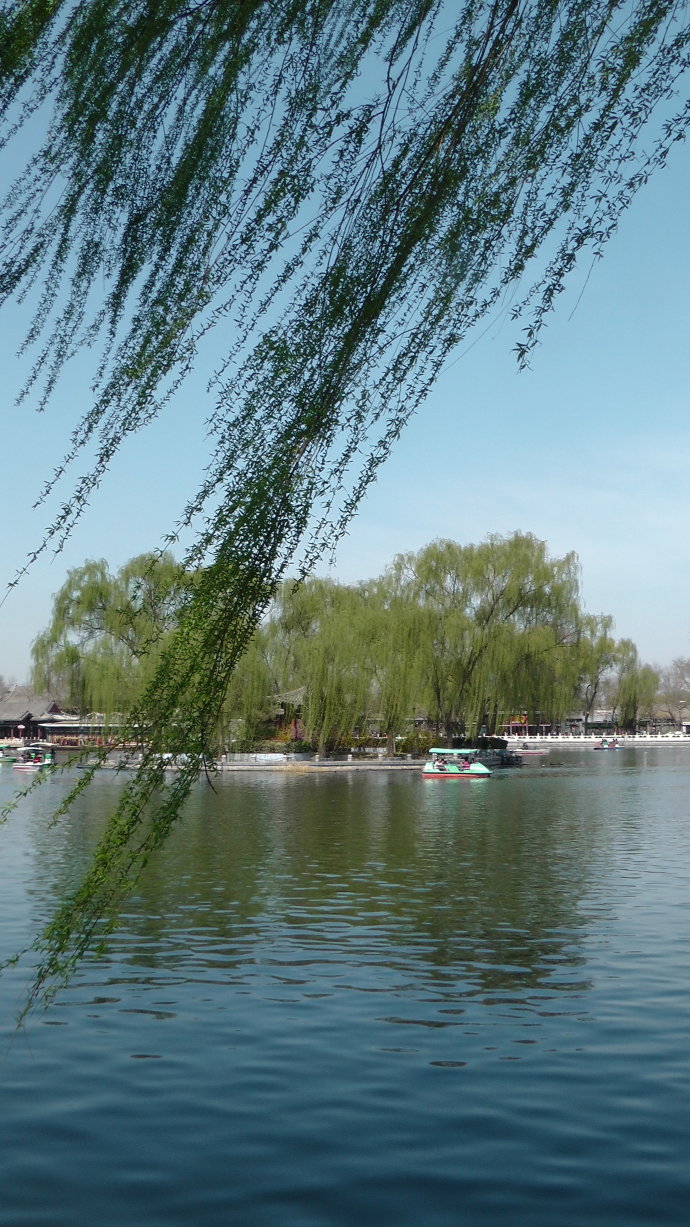 春日暖阳,荡舟什刹海