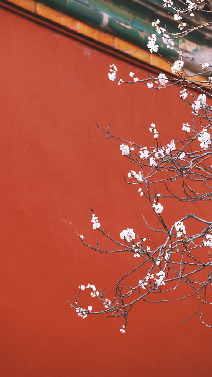 林林总总的红色中我独爱故宫宫墙的那抹朱砂红