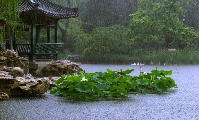 醉饮雨中小凉亭,朝来寒风夜来星.