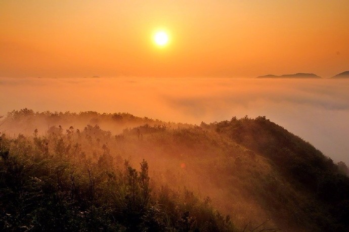 旭日东升蒸蒸日上