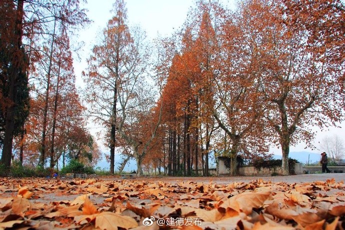 初冬的美好秋色