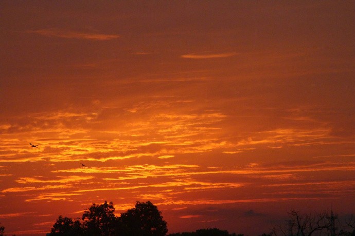 霞光万丈红云透,雨过黛山花飞柳|红云|金云|彩霞_新浪新闻