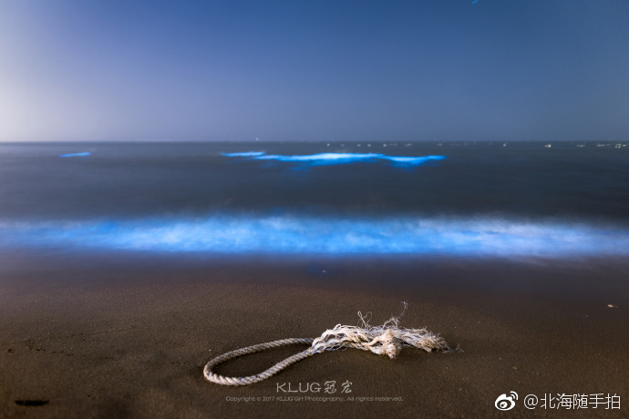 秦皇岛蓝色荧光海图片